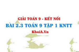 Bài 2.3 SGK Toán 9 tập 1 Kết nối tri thức